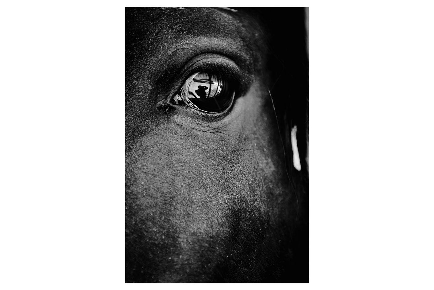 Soul Reflection: Horse's Eye with Human Silhouette - Rodrigo Ojeda Photography