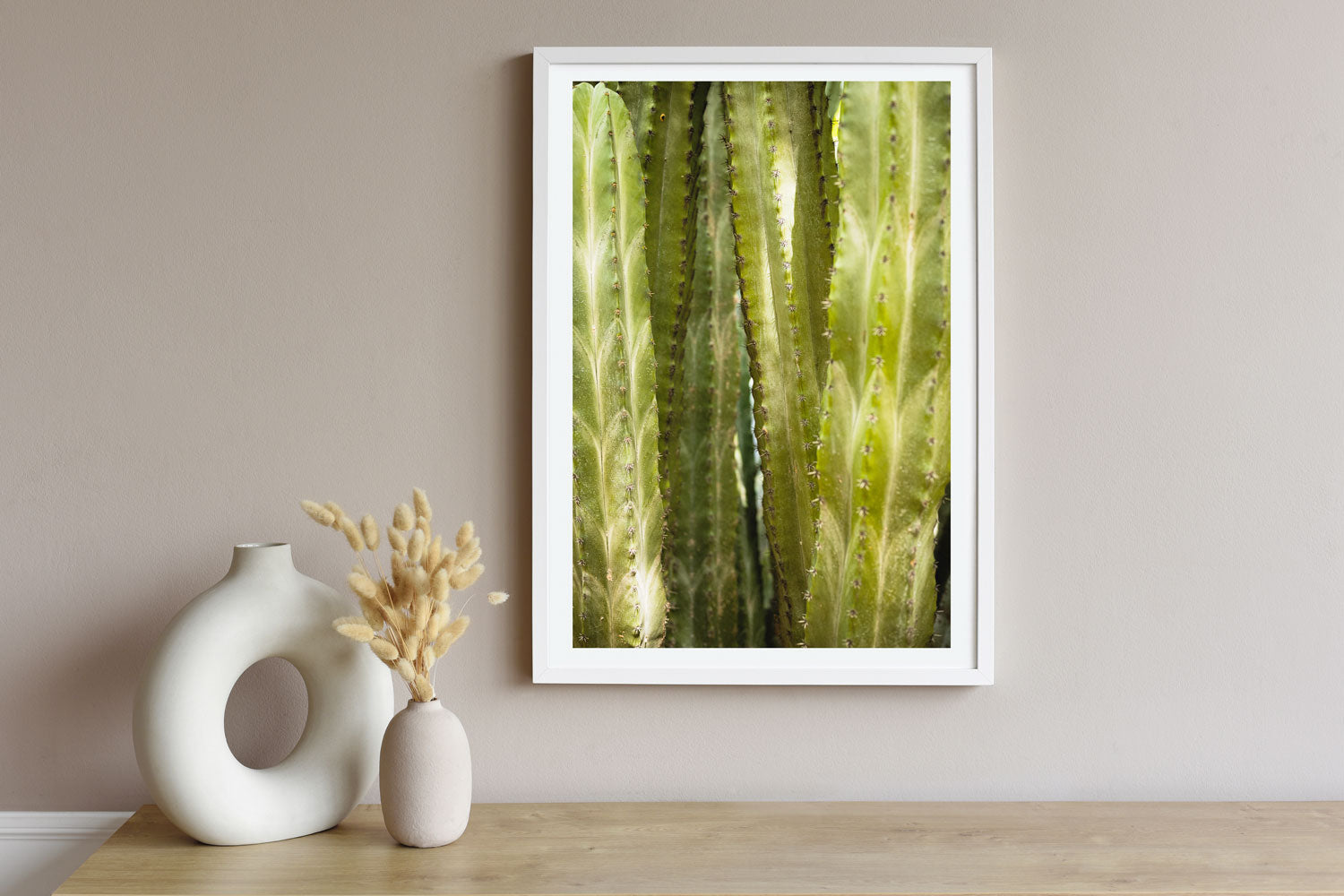 Resilient Symmetry of Cactus Leaves - Rodrigo Ojeda Photography